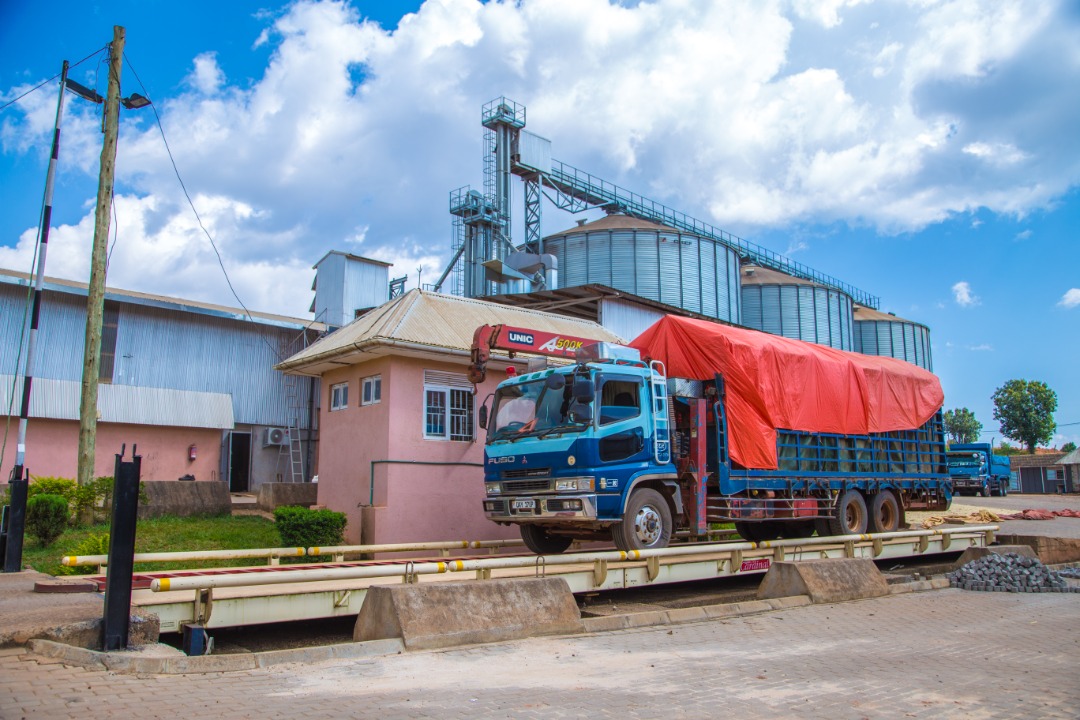 WhatsApp Image 2021-04-23 at 1.01.16 PM.jpeg